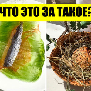 12 блюд из ресторанов Мишлен, которые стоят дорого, а выглядят ну очень странно