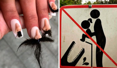 10 фото, на которых уровень “Что тут происходит?!” превысил все допустимые нормы