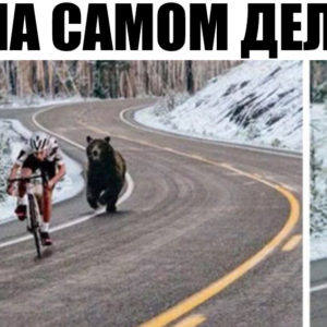 12 фотографий, которые потрясли Интернет — и оказались фальшивкой