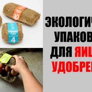 15 случаев, когда люди сделали что‑то реально крутое для этой планеты (вместо пустой болтовни)