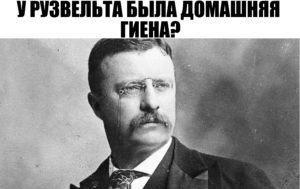 Тест на "Верю" и "Не верю", в котором запутаются 99 человек из 100