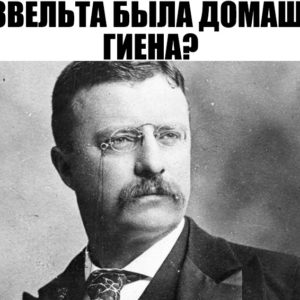 Тест на «Верю» и «Не верю», в котором запутаются 99 человек из 100