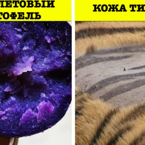 20 уникальных фотографий, которые расширят ваше представление о мире