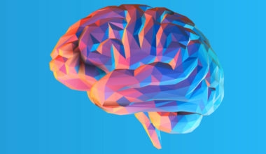 Тест: у вас сплошная каша в голове — если, конечно, вы не ответите на 10\10
