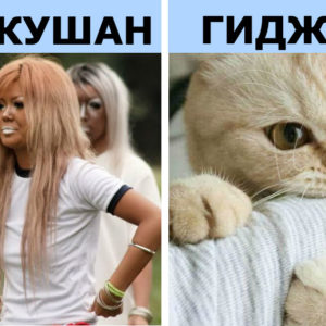 11 слов, которых не хватает в русском языке (ютэплс точно понравится всем)