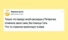 12 ироничных сообщений, каждое из которых — лекарство от уныния