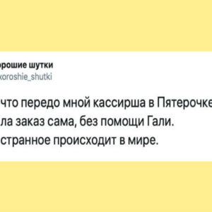 12 ироничных сообщений, каждое из которых — лекарство от уныния