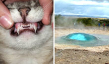 18 фото, которые могут оказаться маленьким открытием лично для вас