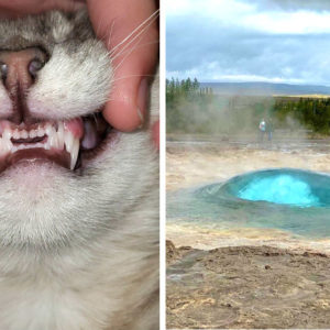 18 фото, которые могут оказаться маленьким открытием лично для вас