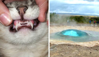 18 фото, которые могут оказаться маленьким открытием лично для вас