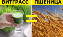 Суперфуды ‑ 10 бюджетных аналогов, которые можно купить в любом продуктовом