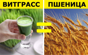 Суперфуды — 10 бюджетных аналогов, которые можно купить в любом продуктовом