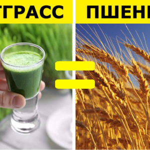 Суперфуды ‑ 10 бюджетных аналогов, которые можно купить в любом продуктовом
