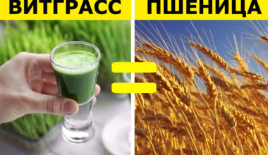 Суперфуды ‑ 10 бюджетных аналогов, которые можно купить в любом продуктовом