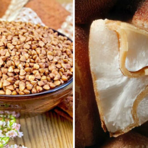 11 невзрачных вещей, красота которых спрятана внутри