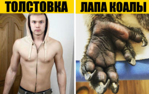 12 фото-фактов того, что мир еще более безумен, чем кажется