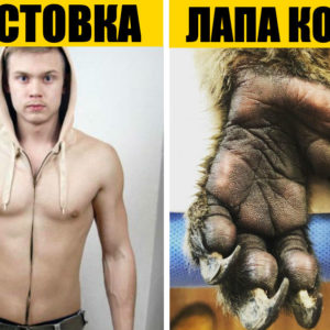 12 фото‑фактов того, что мир еще более безумен, чем кажется