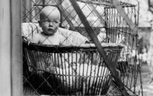 9 исторических фактов, о которых забыли упомянуть в учебниках — удивитесь и вы