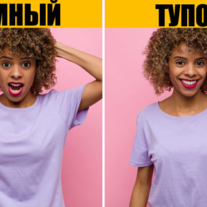 9 неожиданных признаков высокого интеллекта, которые подтвердили ученые