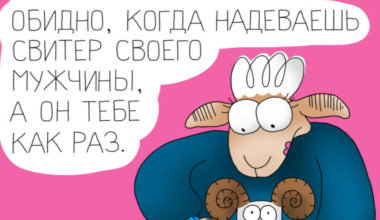 11 картинок о том, что женская красота ‑ страшная сила