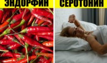 15+ способов помочь организму вырабатывать гормоны счастья ‑ и радоваться жизни