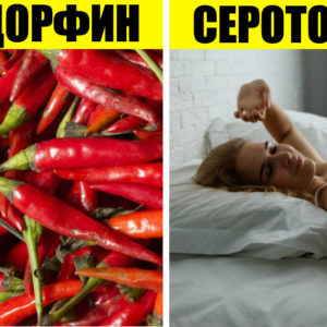 15+ способов помочь организму вырабатывать гормоны счастья ‑ и радоваться жизни