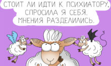 Овечка Бебе: 12 картинок о проблемах, которые раздражают даже самых уравновешенных