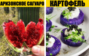 12 чудных овощей и фруктов, которые мало кто видел вживую