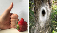 14 фото, которые раскрывают привычные вещи с необычной стороны
