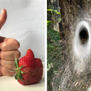 14 фото, которые раскрывают привычные вещи с необычной стороны