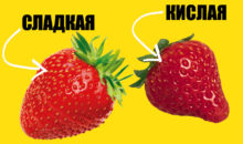 Как понять, что клубника сладкая: 6 верных признаков