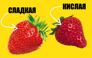 Как понять, что клубника сладкая: 6 верных признаков