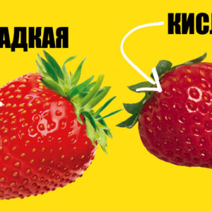 Как понять, что клубника сладкая: 6 верных признаков
