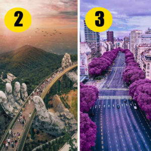 Тест: куда заведет вас Судьба? Выберите дорогу ‑ и узнайте!
