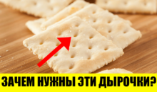 12 впечатляющих фактов, которые удивят даже самых умных