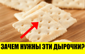 12 впечатляющих фактов, которые удивят даже самых умных
