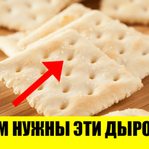 12 впечатляющих фактов, которые удивят даже самых умных