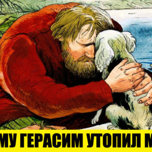 5 фактов, о которых не рассказывают в школе