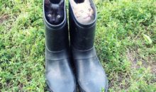 15 фотографий, которые снова доказывают, что без кота ‑ жизнь не та
