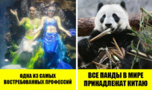 10 вау‑фактов о Китае, которые русскому человеку не понять