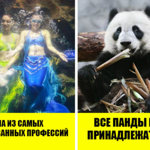 10 вау‑фактов о Китае, которые русскому человеку не понять