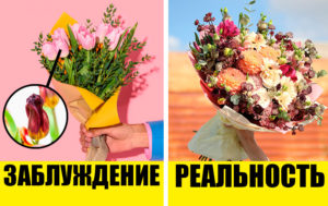 5 заблуждений о доставке букетов, которые давно пора пересмотреть
