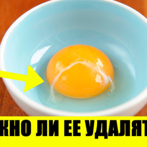 8 мифов о яйцах, в которые верит половина человечества: что из этого правда?
