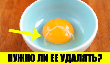 8 мифов о яйцах, в которые верит половина человечества: что из этого правда?