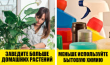 Как очистить воздух в квартире? ТОП‑5 эффективных способов