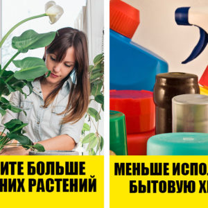 Как очистить воздух в квартире? ТОП‑5 эффективных способов
