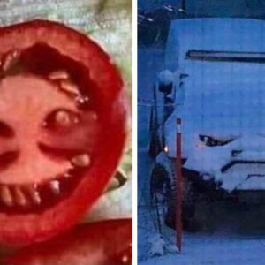 14 фото в стиле “Показалось”, которые на несколько секунд сломают ваш мозг