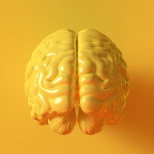 5 способов развить интеллект и перейти на новый уровень жизни