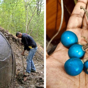 Обычная прогулка по лесу обернулась странной находкой: 10 вещей, найденных в глуши