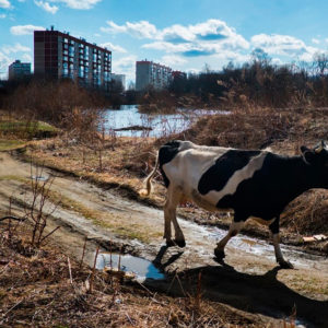15 фото о России и русских, которые показали иностранцам изнанку жизни в стране
